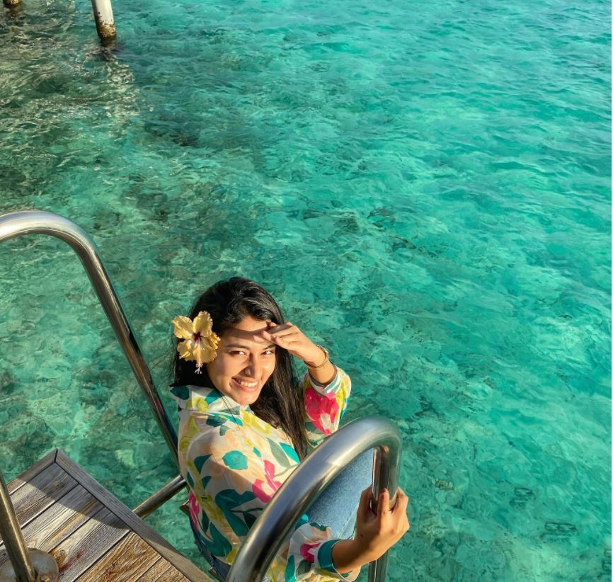 Katta eshakda sikish