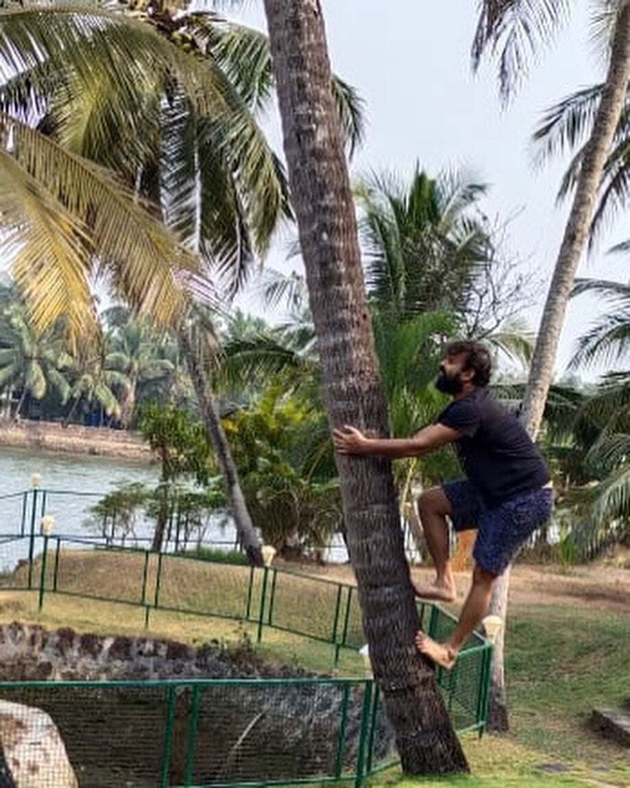 ആഹ്ലാദത്തോടെ കുഞ്ചാക്കോ ബോബനും ഭാര്യ പ്രിയയും മധുരം പങ്കുവച്ചു; നടുവില്‍ ചിരിച്ച് ഇസ്ഹാക്ക്- ചിത്രങ്ങള്‍