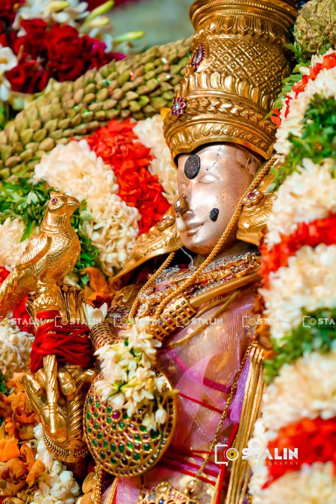 కదిలి వచ్చిన మదురై మీనాక్షి: భక్తజన సంద్రం (ఫొటోలు)