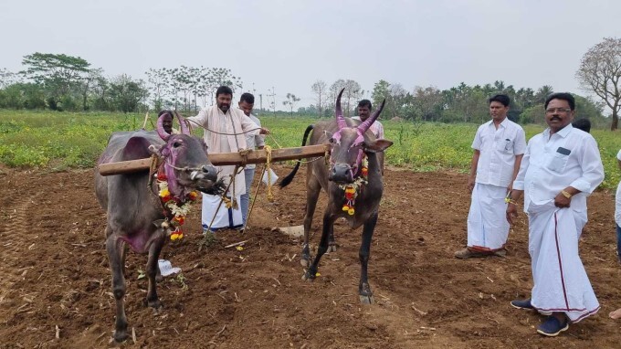 Agriculture Minister BC Patil celebrates Ugadi festival