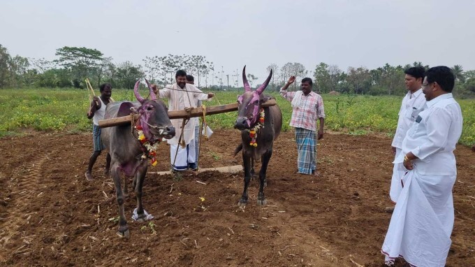 Agriculture Minister BC Patil celebrates Ugadi festival
