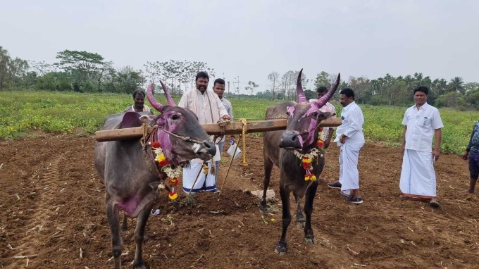 Agriculture Minister BC Patil celebrates Ugadi festival