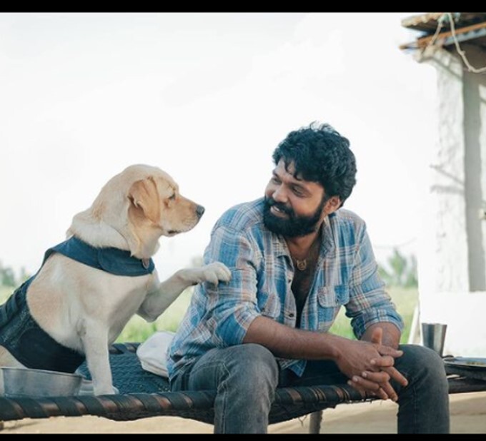 Top 10 Kannada Actors With Most Followers On Instagram