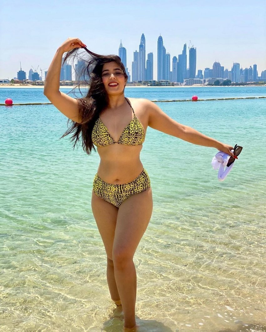 অভিনেত্রী নিকিতা শর্মার বিকিনি পরা ছবি সোশ্যাল মিডিয়ায় আলোড়ন তুলছে