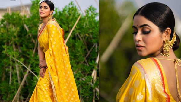 മഞ്ഞലയില്‍ മുങ്ങിതോര്‍ത്തി; സാരിയില്‍ അതീവ സുന്ദരിയായി ഷംന കാസിം