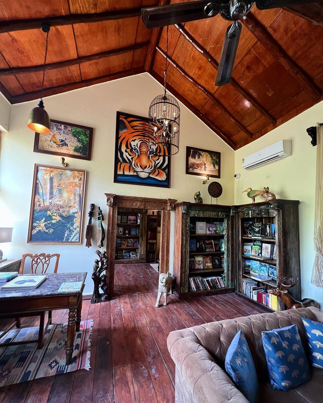 കടുവയോടാണോ കളി; മാളവികയുടെ തഡോബ സഫാരി കൊള്ളാം, ജീനിയസെന്ന് ആരാധകര്‍, ഏറ്റവും പുതിയ ചിത്രങ്ങള്‍ വൈറല്‍