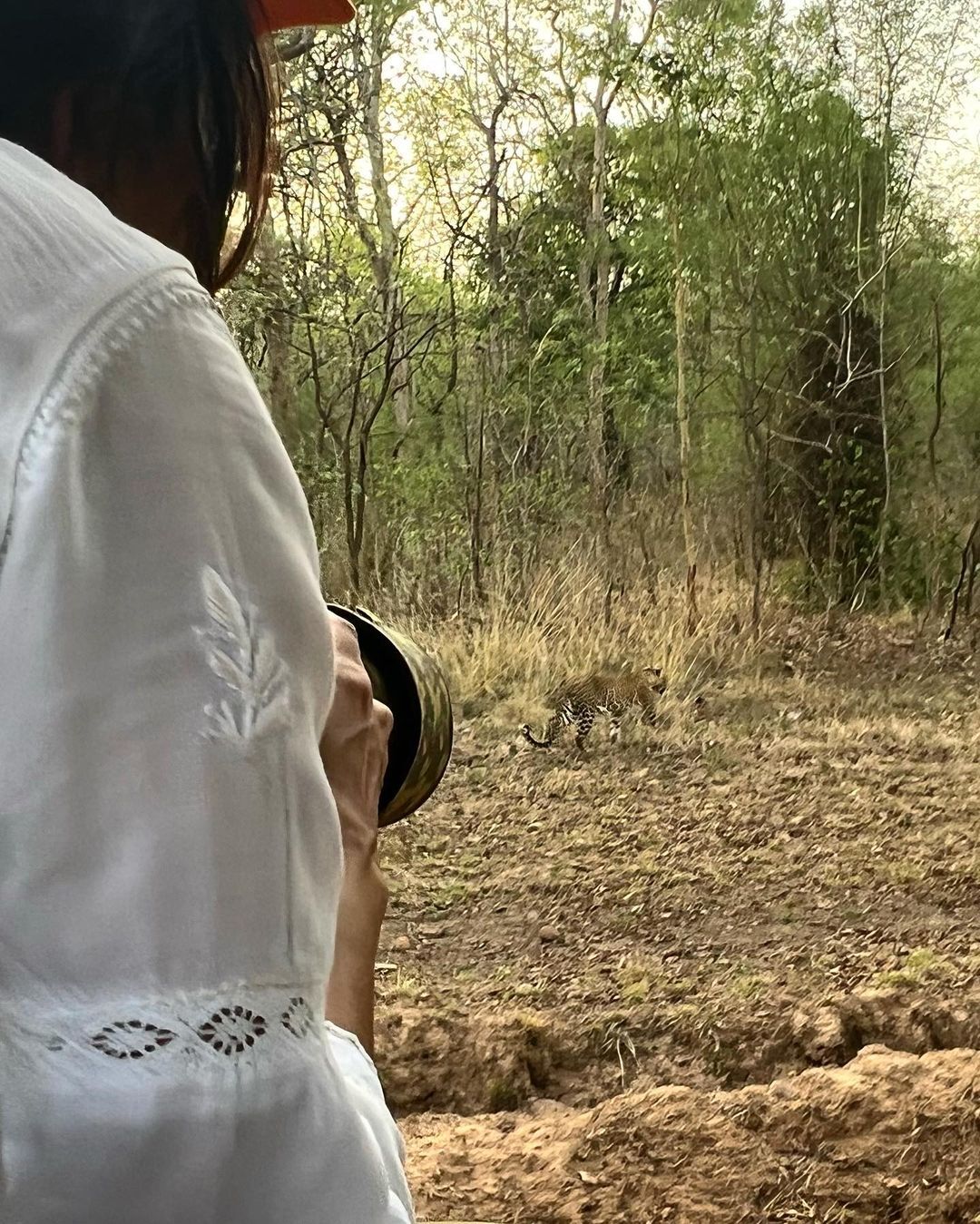 കടുവയോടാണോ കളി; മാളവികയുടെ തഡോബ സഫാരി കൊള്ളാം, ജീനിയസെന്ന് ആരാധകര്‍, ഏറ്റവും പുതിയ ചിത്രങ്ങള്‍ വൈറല്‍