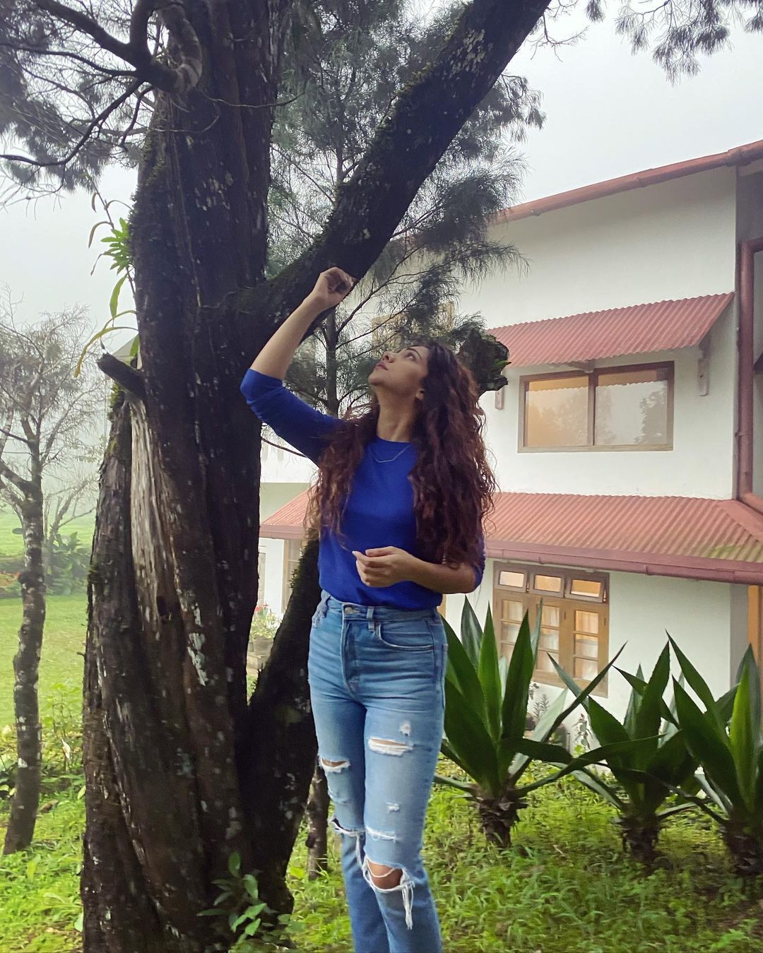 മ് മഴ...മഴച്ചിത്രം പങ്കുവെച്ച് മഡോണ