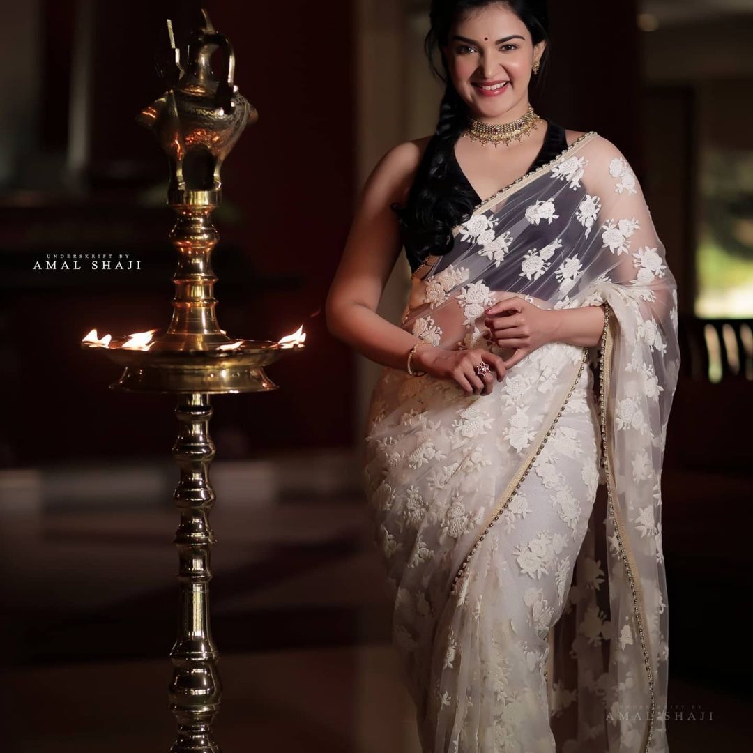 ഒരു ചന്തമൊക്കെയുണ്ട്, ഞങ്ങള്‍ക്ക് ഇഷ്ടായി; ഹണി..സാരിയില്‍ വന്നാല്‍ പൊളിയല്ലേയെന്ന് ആരാധകര്‍ 