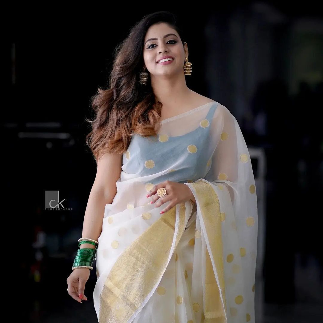 ഇത് ഇനിയ തന്നെയോ ലുക്കൊക്കെ മാറ്റിയോ... നടിയുടെ പുതിയ സാരി ലുക്ക് വൈറൽ
