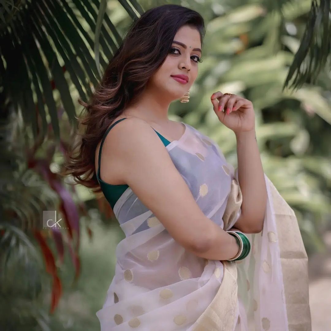 ഇത് ഇനിയ തന്നെയോ ലുക്കൊക്കെ മാറ്റിയോ... നടിയുടെ പുതിയ സാരി ലുക്ക് വൈറൽ