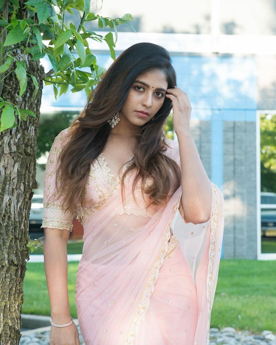 സാരിയില്‍ മിന്നിത്തിളങ്ങി അഞ്ജലി; അടിപൊളിയെന്ന് ആരാധകര്‍, വൈറല്‍ ചിത്രങ്ങള്‍