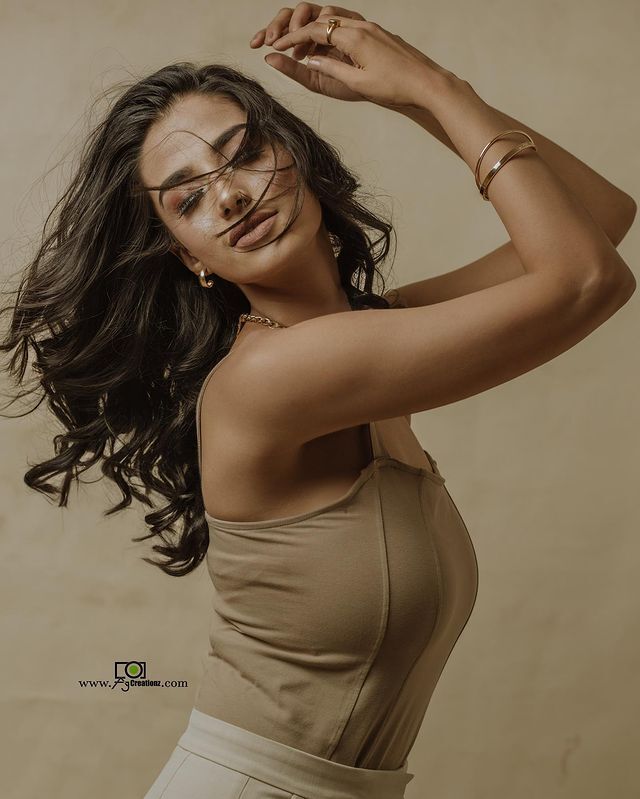 అందాల సోయగం మీనాక్షి చౌదరి