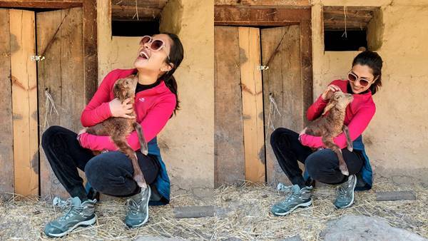 മട്ടന്‍ ബിരിയാണിയാണോ ഇന്നത്തെ ഡിഷ്; അമലയുടെ ചിത്രത്തില്‍ ആരാധകര്‍, വൈറല്‍