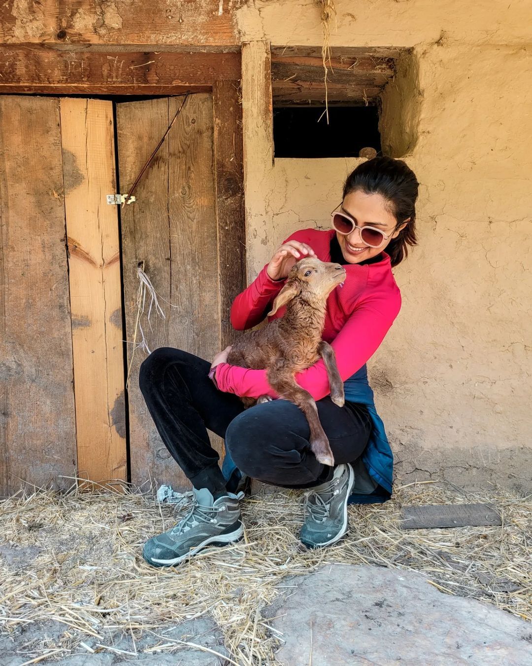 മട്ടന്‍ ബിരിയാണിയാണോ ഇന്നത്തെ ഡിഷ്; അമലയുടെ ചിത്രത്തില്‍ ആരാധകര്‍, വൈറല്‍