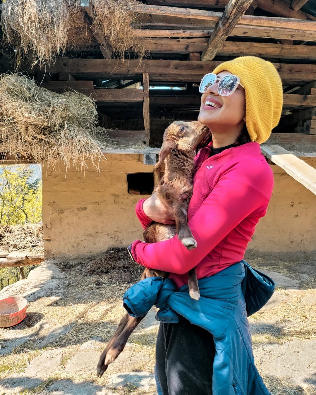 മട്ടന്‍ ബിരിയാണിയാണോ ഇന്നത്തെ ഡിഷ്; അമലയുടെ ചിത്രത്തില്‍ ആരാധകര്‍, വൈറല്‍