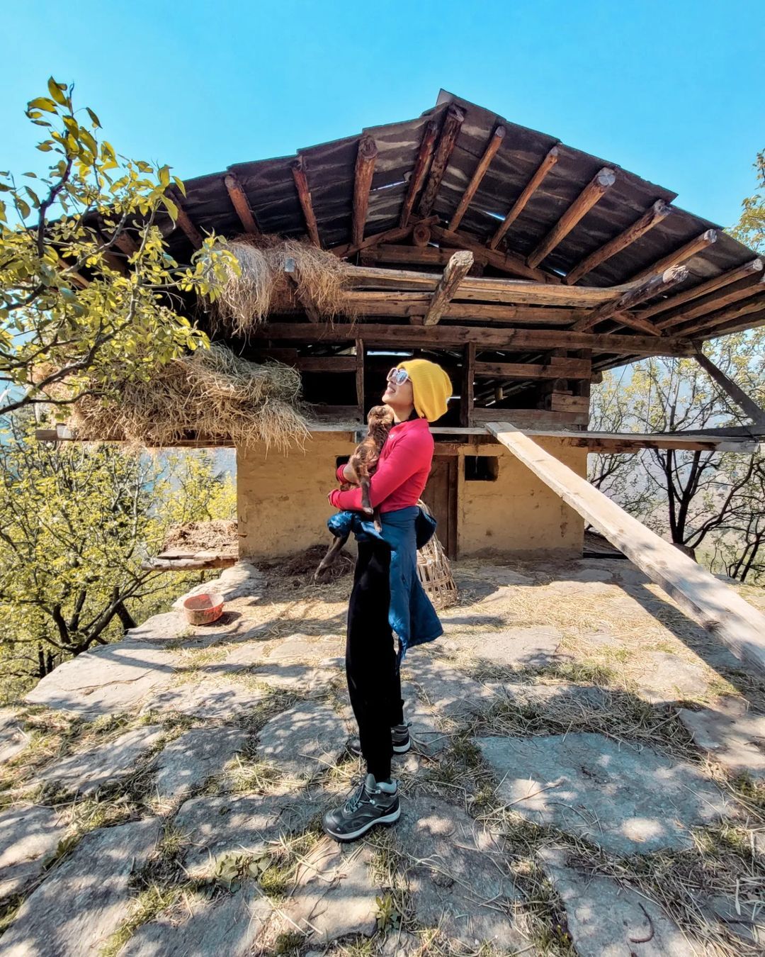 മട്ടന്‍ ബിരിയാണിയാണോ ഇന്നത്തെ ഡിഷ്; അമലയുടെ ചിത്രത്തില്‍ ആരാധകര്‍, വൈറല്‍