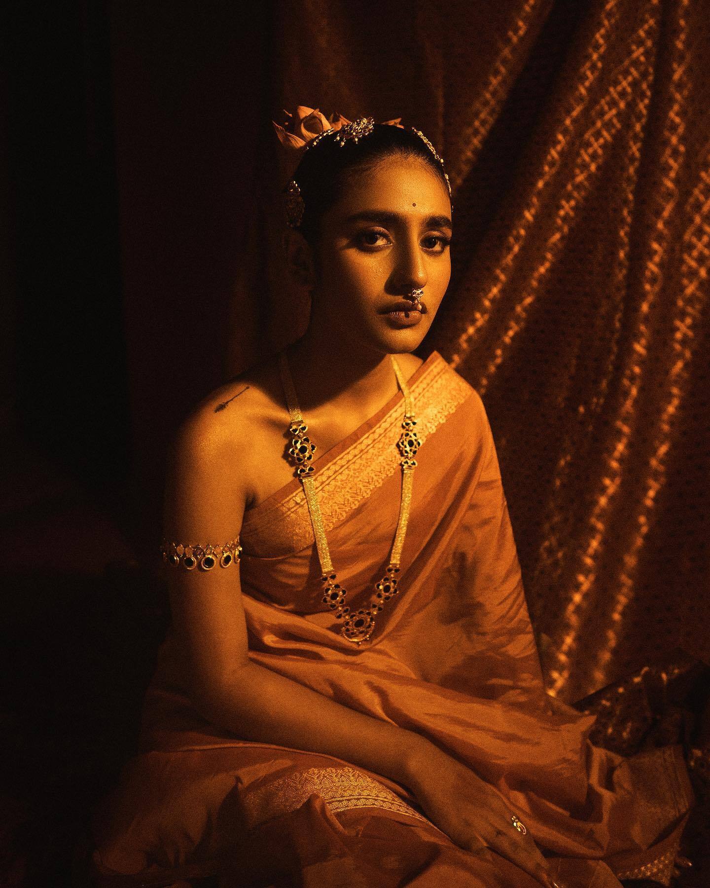 ആഹാ..ഇതിപ്പോ എല്ലാ കളറുമുണ്ടല്ലോ ഡ്രെസില്‍; പ്രിയയുടെ പുതിയ ചിത്രവും ഏറ്റെടുത്ത് ആരാധകര്‍