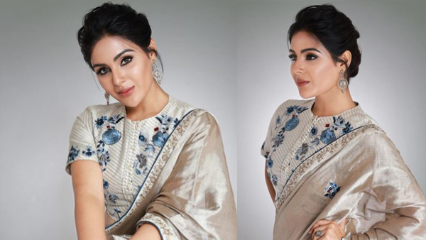 'സ്വപ്നങ്ങളും ലക്ഷ്യങ്ങളുമുള്ള ഒരു സാധാരണ പെണ്‍കുട്ടിയാണ് ഞാന്‍'; സാരിയില്‍ തിളങ്ങി സംയുക്ത