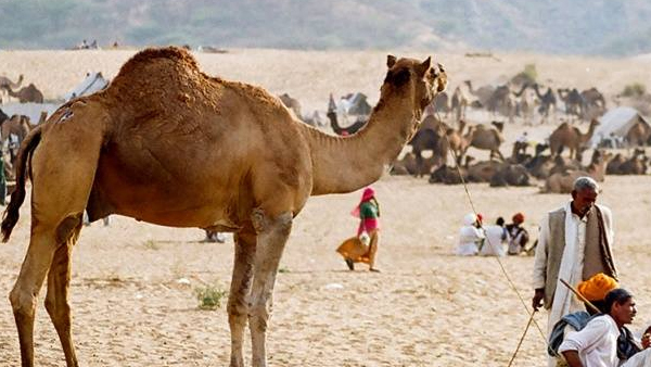 വെറുമൊരു യാത്രയല്ല, ഈ സ്ഥലങ്ങള്‍ നിങ്ങളെ വേറെ ലെവലിലെത്തിക്കും