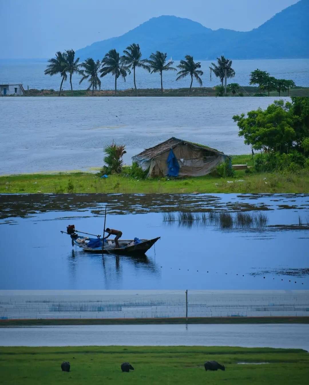 మంత్రముగ్దులను చేస్తున్న చిల్కా సరస్సు ప్రకృతి అందాలు