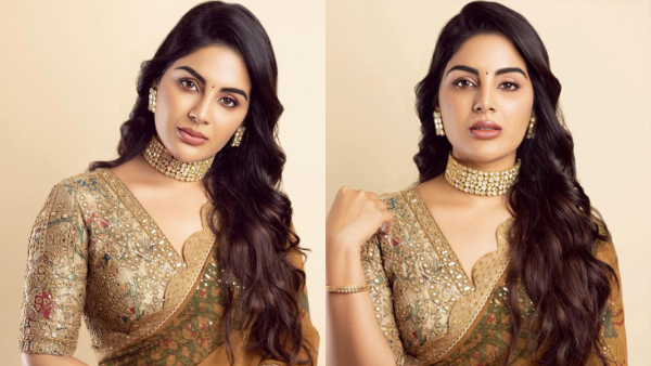 ശരിയാണ്...രാജ്ഞിയെ പോലെ തന്നെ ഉണ്ട്..; സാരിയില്‍ സംയുക്തയുടെ കിടിലന്‍ ചിത്രങ്ങള്‍