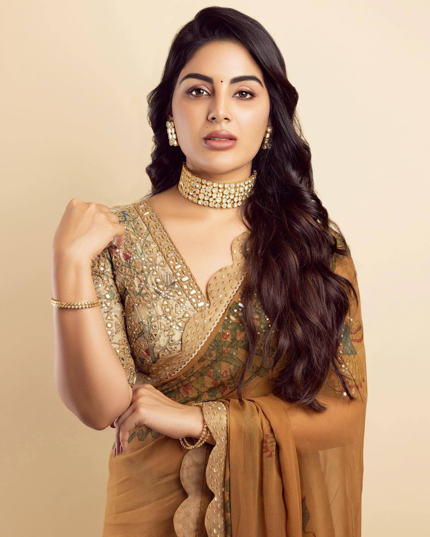 ശരിയാണ്...രാജ്ഞിയെ പോലെ തന്നെ ഉണ്ട്..; സാരിയില്‍ സംയുക്തയുടെ കിടിലന്‍ ചിത്രങ്ങള്‍