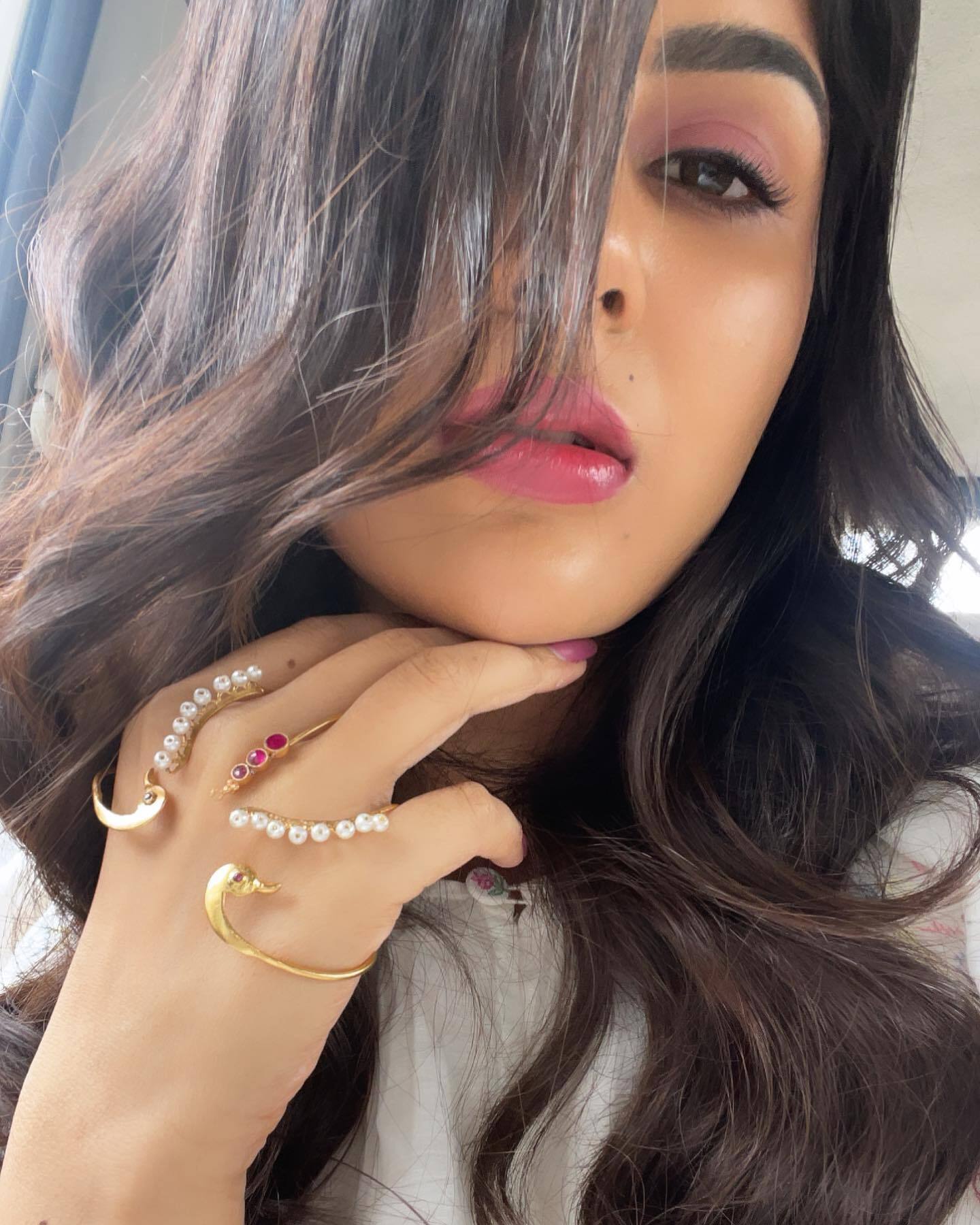 ശരിയാണ്...രാജ്ഞിയെ പോലെ തന്നെ ഉണ്ട്..; സാരിയില്‍ സംയുക്തയുടെ കിടിലന്‍ ചിത്രങ്ങള്‍