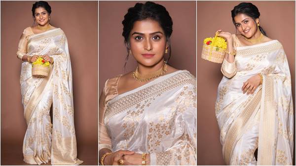 രമ്യ... നിങ്ങൾ എന്തൊരു സുന്ദരിയാണ്... സാരിയിൽ പുഞ്ചിരി അഴകുമായി നടി