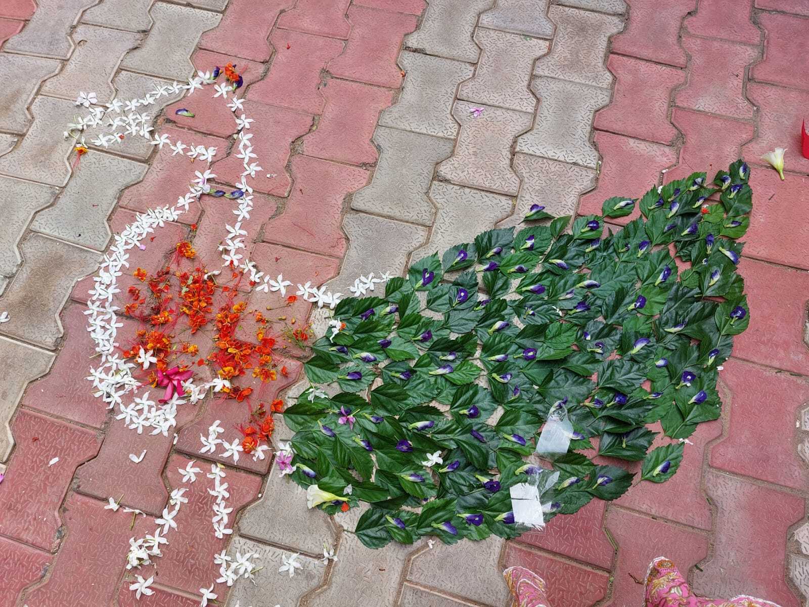 ରାଜ୍ୟରେ ଅହିଂସା ରଥକୁ ମିଳୁଛି ସମର୍ଥନ