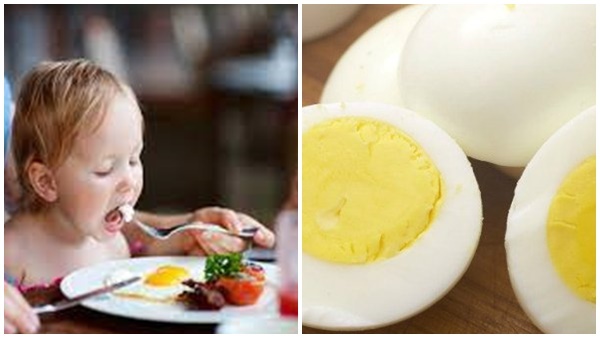 ഒരു ദിവസം എത്ര മുട്ട കഴിക്കാം? ഈ കണക്ക് വിട്ടു കഴിക്കല്ലേ കളിമാറും