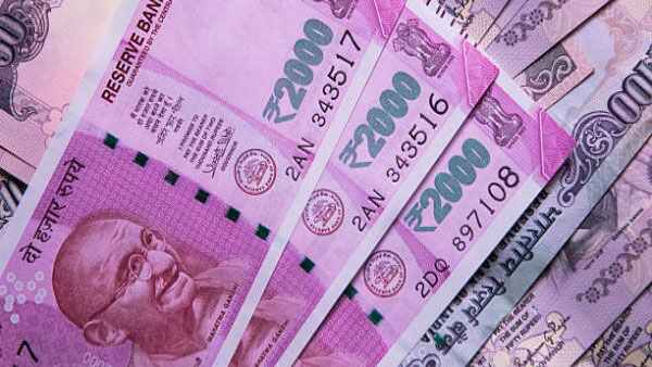 ദാരിദ്ര്യത്തെ പറപറപ്പിക്കാം, ഈ ചെടി വീട്ടുമുറ്റത്ത് നട്ടാല്‍ സംഭവിക്കും മാറ്റങ്ങള്‍ 