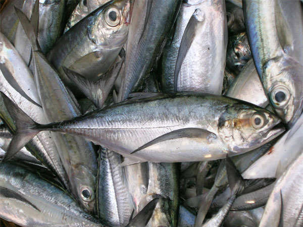 ಪ್ಲೇಟ್‌ಲೆಟ್‌ ಕಡಿಮೆ ಇದೆಯೇ? ಪ್ಲೇಟ್‌ಲೆಟ್‌ಗಳ ಸಂಖ್ಯೆ ಹೆಚ್ಚಲು  ಈ ಆಹಾರ ಸೇವಿಸಿ