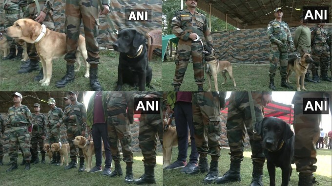29 Army Dog Unit remembers Indian Army Dog 'Zoom'.