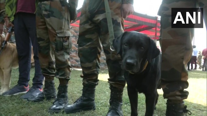 29 Army Dog Unit remembers Indian Army Dog 'Zoom'.