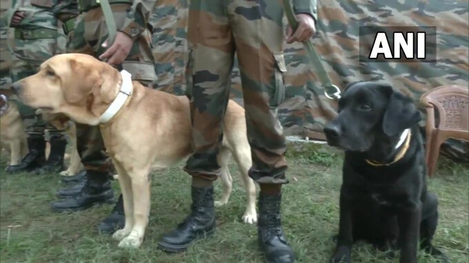 29 Army Dog Unit remembers Indian Army Dog 'Zoom'.