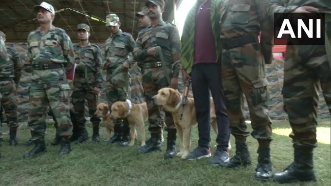29 Army Dog Unit remembers Indian Army Dog 'Zoom'.