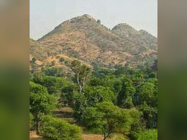 സഫാരി റൈഡിന് റെഡിയായിക്കോളൂ; വരുന്നത് ഷാര്‍ജയെ വെല്ലുന്ന സഫാരി പാര്‍ക്ക്, വിവരങ്ങള്‍ അറിയാം