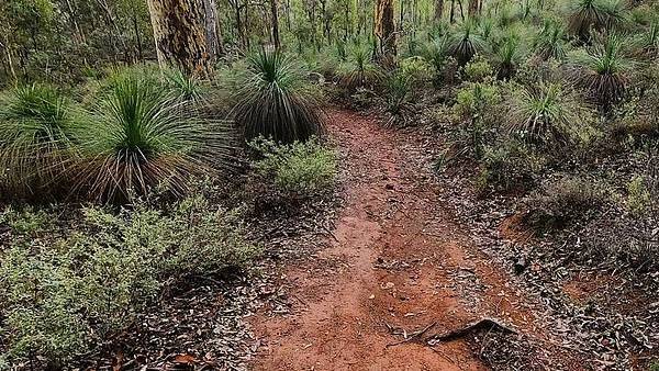 സഫാരി റൈഡിന് റെഡിയായിക്കോളൂ; വരുന്നത് ഷാര്‍ജയെ വെല്ലുന്ന സഫാരി പാര്‍ക്ക്, വിവരങ്ങള്‍ അറിയാം