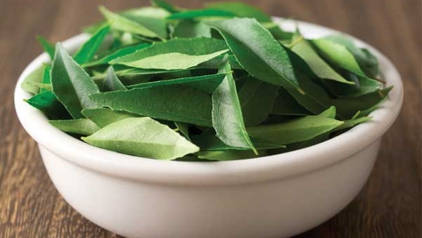 ദീർഘനാൾ കറിവേപ്പില കേടുവരാതെ സൂക്ഷിക്കാൻ ആകുമോ? ഇതാ ചില പൊടിക്കൈകൾ... 