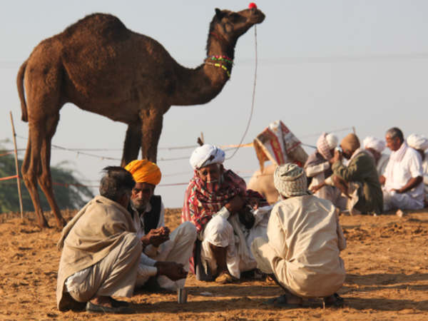 റൊമാന്റിക് ഡേറ്റിന് ഒരുങ്ങുകയാണോ? എങ്കില്‍ ഒരു യാത്ര ബെസ്റ്റാണ്; പങ്കാളിയെയും ഒപ്പം ചേര്‍ത്ത് പോകാന്‍ ഈ സ്ഥലങ്ങള്‍