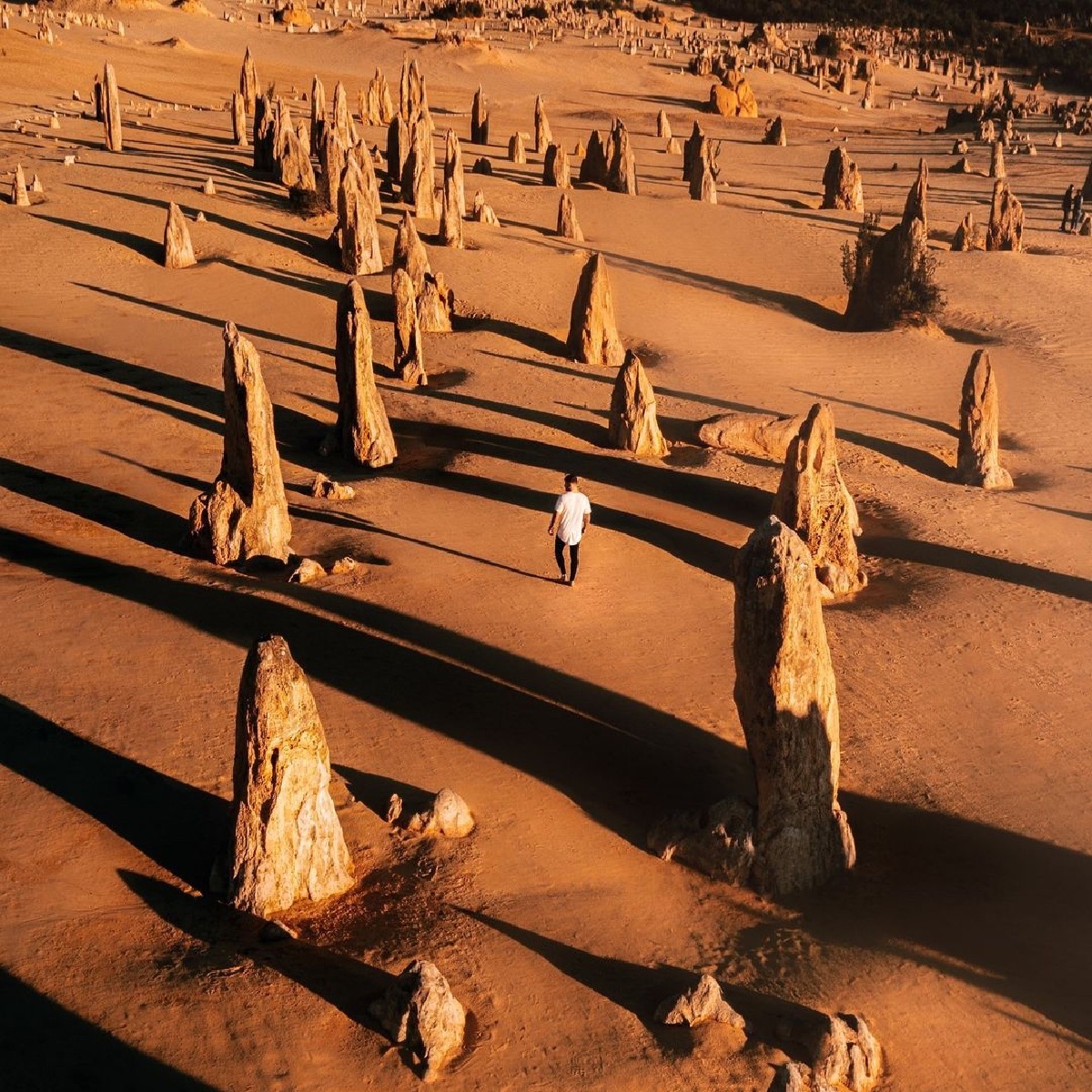 വിദേശ യാത്ര ആഗ്രഹിക്കുന്നുണ്ടോ? ഓസ്‌ട്രേലിയ തിരഞ്ഞെടുക്കൂ; പോകേണ്ടത് ഈ സ്ഥലങ്ങളില്‍