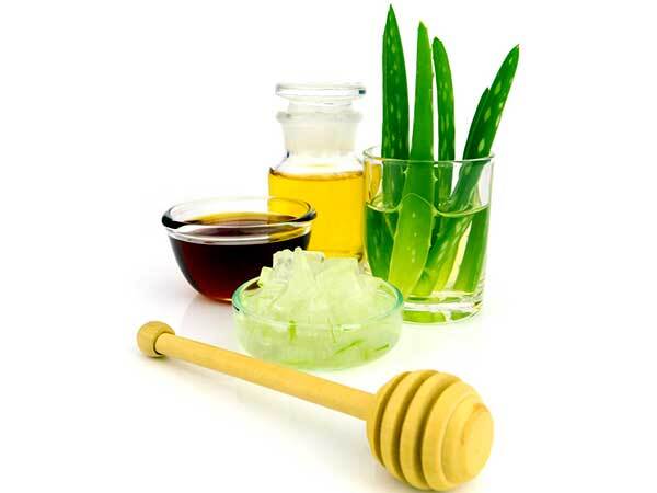 Aloe vera: അലോവെറ ഉപയോഗിച്ച് തുടങ്ങിക്കോളൂ; മാറ്റങ്ങള്‍ ഉടന്‍ അറിയാം, ഗുണങ്ങള്‍ ഇങ്ങനെ