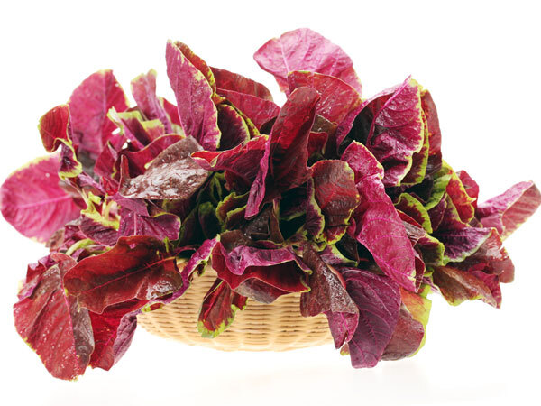 Hair Fall-അമിതമായി മുടി കൊഴിയുന്നുണ്ടോ? ടെൻഷൻ അടിക്കും മുൻപ് കഴിക്കാം ഇവ..