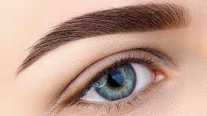 Eyebrow: ഇനി മഷിയിട്ട് കറുപ്പിക്കേണ്ട...പുരികത്തിന് നിറവും കട്ടിയും ഷേയ്പ്പും വരുത്താം....