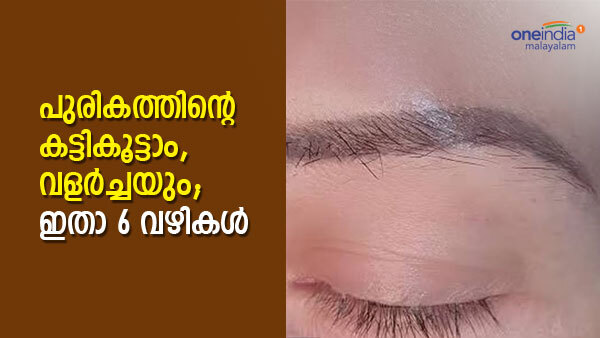 Eyebrow: ഇനി മഷിയിട്ട് കറുപ്പിക്കേണ്ട...പുരികത്തിന് നിറവും കട്ടിയും ഷേയ്പ്പും വരുത്താം....