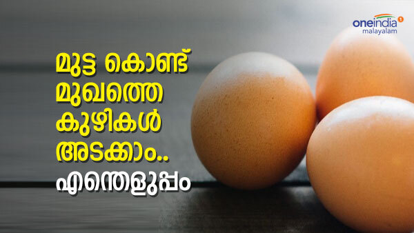 skin care: മുട്ടയുണ്ടോ.. മുഖത്തെ കുഴികൾ ദിവസങ്ങൾ കൊണ്ട് ഇല്ലാതാക്കാം