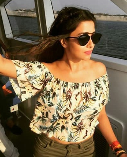 Hindi Bigg Boss 16 confirmed contestants list