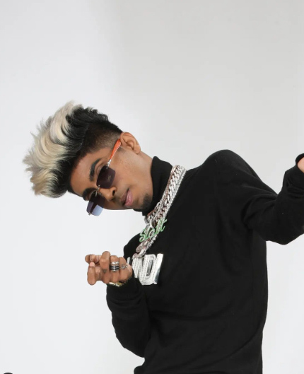 Hindi Bigg Boss 16 confirmed contestants list