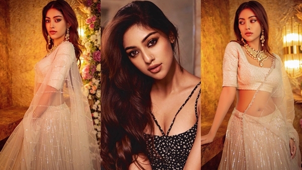 Anu Emmanuel: ശരിക്കും രാജകുമാരിയെപ്പോലെ... സാരിയിൽ തകർപ്പൻ ലുക്കിൽ അനു ഇമ്മാനുവൽ